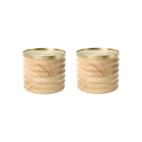 Tesora Wood Storage Box (Set of 2)