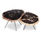 Lastra Coffee Table (Set of 2)  option Natural Dark