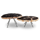 Lastra Coffee Table (Set of 2)
