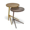 Leo Nesting End Table (Set of 2)  option Antique Brass / Antique Copper