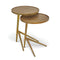 Leo Nesting End Table (Set of 2)  option Antique Brass