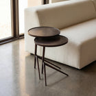 Leo Nesting End Table (Set of 2)
