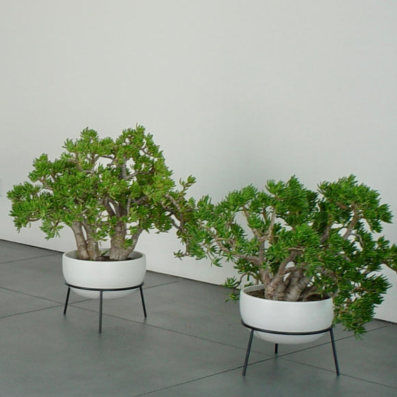 John Follis FX Planter