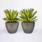David Cressey Pineapple Planter  option Matte Black / AP-100