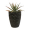 David Cressey Pineapple Planter  option Matte Black / AP-300
