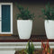 David Cressey Pineapple Planter  option Matte Studio White / AP-300
