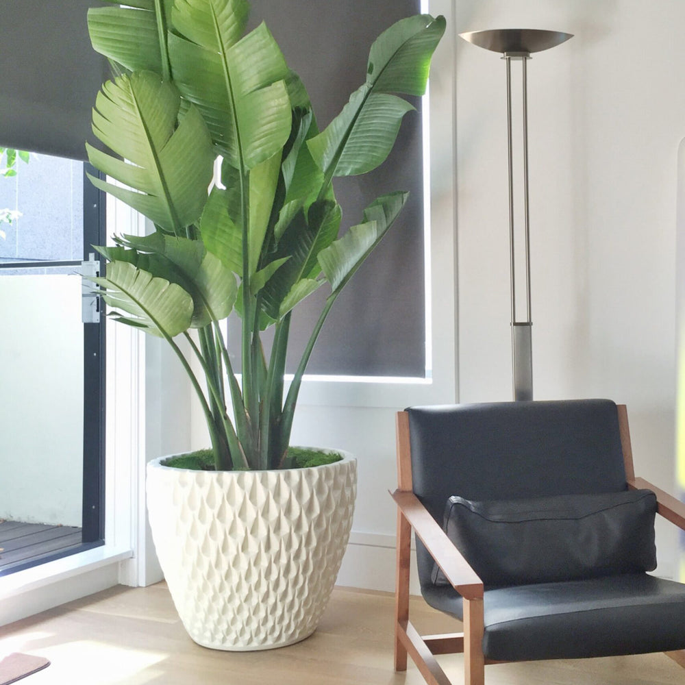 David Cressey Pineapple Planter