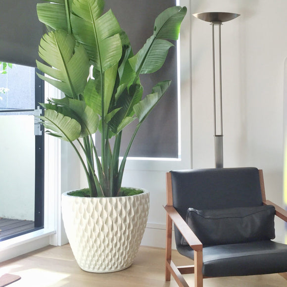 David Cressey Pineapple Planter