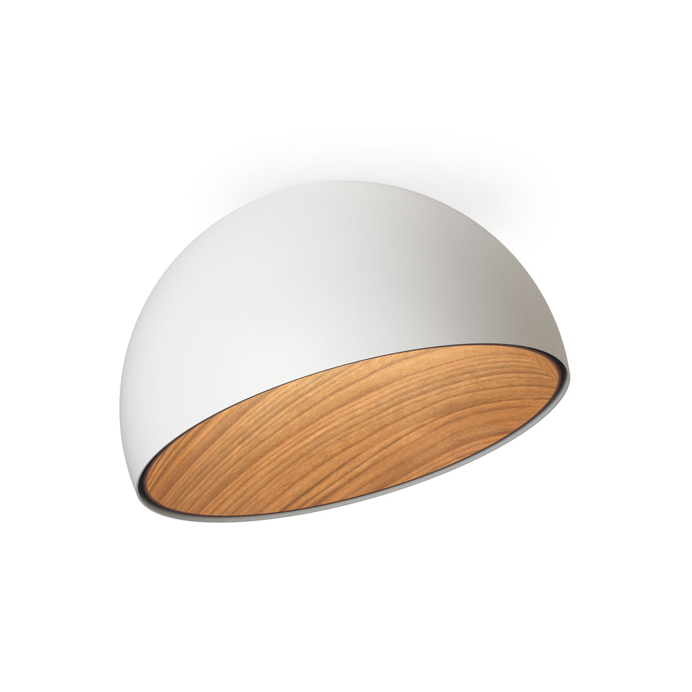 Duo Asymmetrical Flush Mount