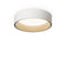 Duo Flush Mount  option Matte White
