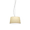 Warm Mesh Pendant Light  option Screen
