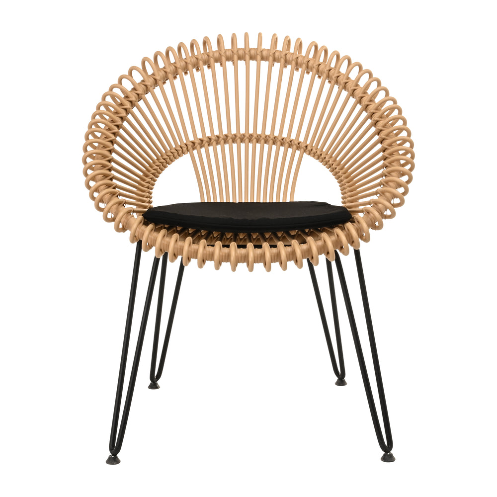 Roy Outdoor Dining Chair