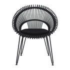 Roy Outdoor Dining Chair