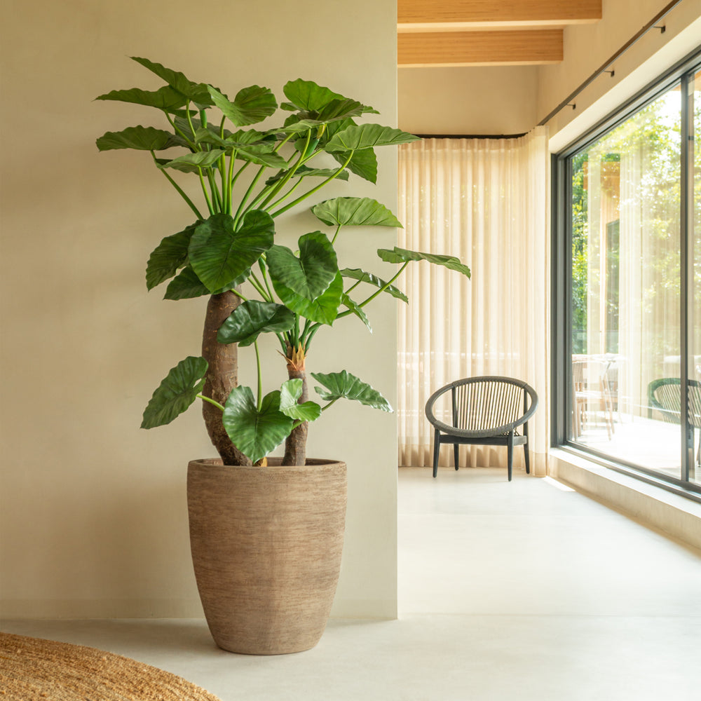 Saya Plant Pot (Set of 2)