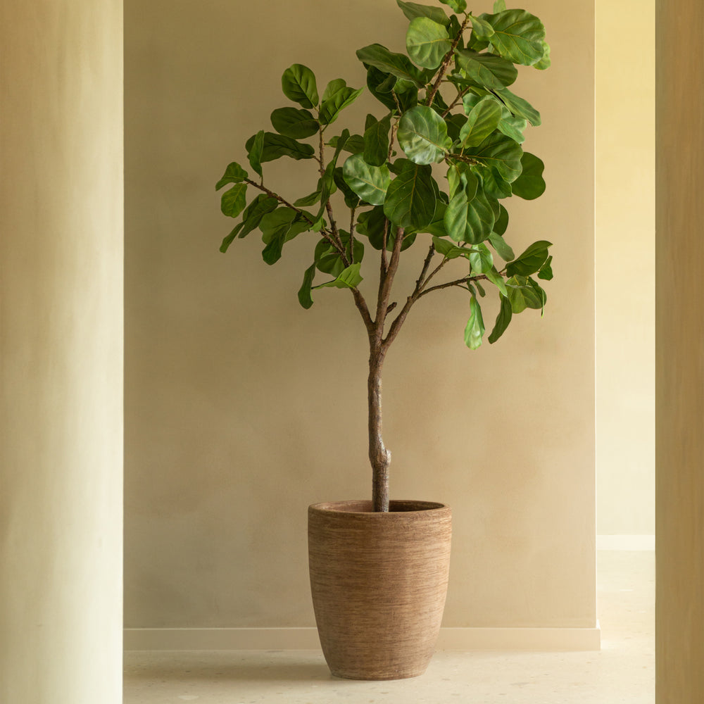 Saya Plant Pot (Set of 2)