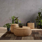 Vivi Coffee Table