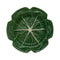 Cabbage Charger Plate  option Green