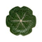 Cabbage Dinner Plate  option Green