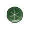 Cabbage Fruit/Salad Plate  option Green