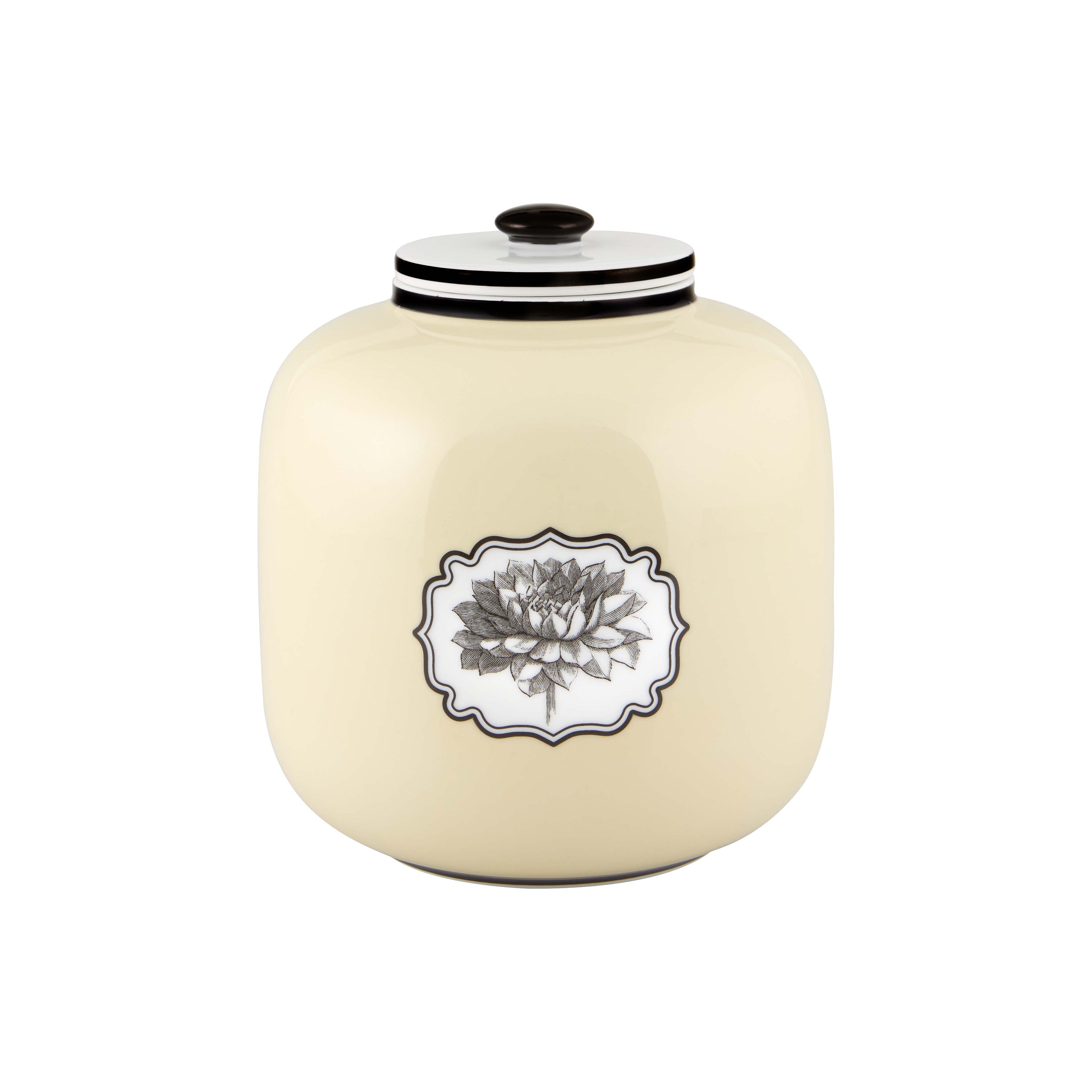 Vista Alegre Herbariae Timor Box - 2Modern