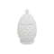 Pine Cone Box  option White