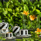 Sol Y Sombra Tea Cup with Butterfly & Saucer