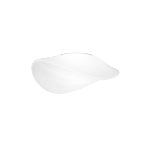 Balance Wall/Ceiling Lamp