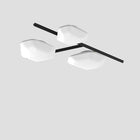 Modulor Multi-Light LED Wall/Ceiling Light