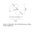 Modulor Multi-Light LED Wall/Ceiling Light