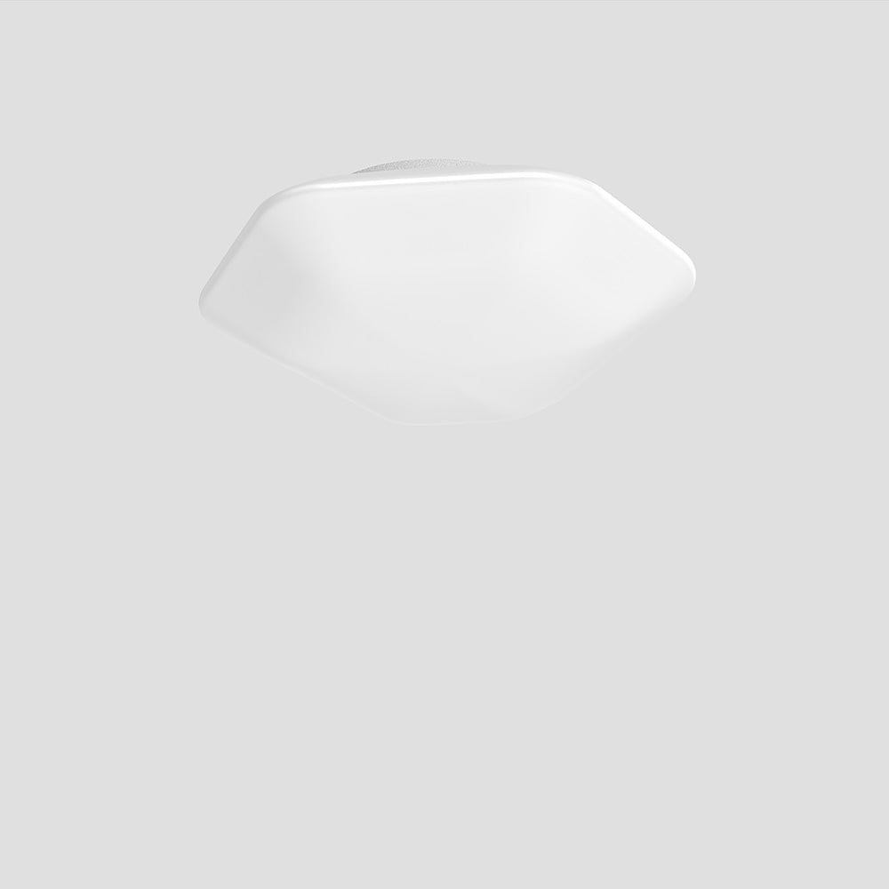 Modulor Wall/Ceiling Light