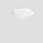 Modulor Wall/Ceiling Light