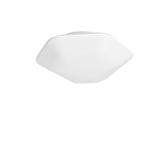 Modulor Wall/Ceiling Light