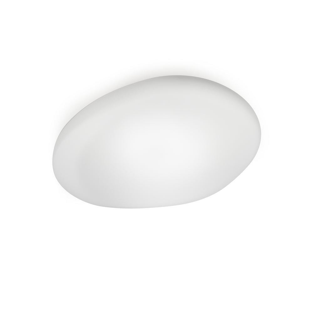Neochic Wall/Ceiling Lamp