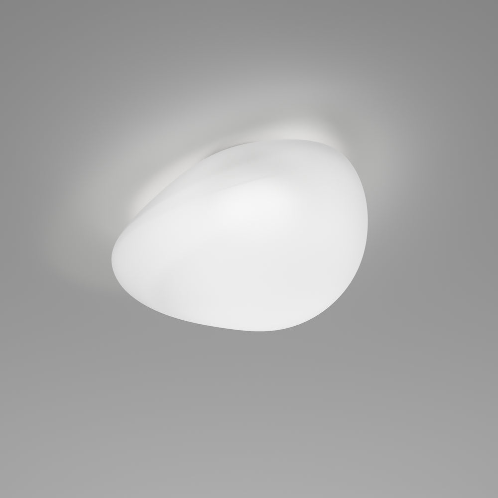 Neochic Wall/Ceiling Lamp