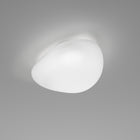 Neochic Wall/Ceiling Lamp