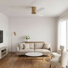 Rozzen Ceiling Fan
