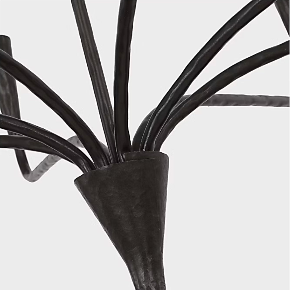 Visual Comfort Signature x Chapman and Myers Aiden Single Tier Chandelier