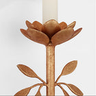 Visual Comfort Signature x Amber Lewis Clementine Tail Wall Sconce