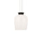 Sean Lavin Vetro Pendant Light  option Bronze