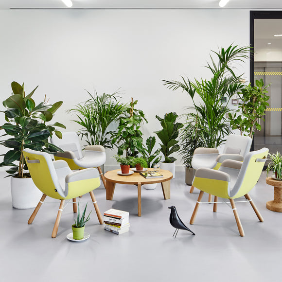 Gueridon Bas Coffee Table