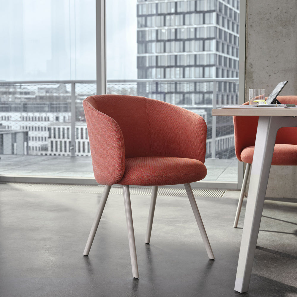 Mikado Dining Arm Chair