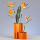 Nuage Vase
