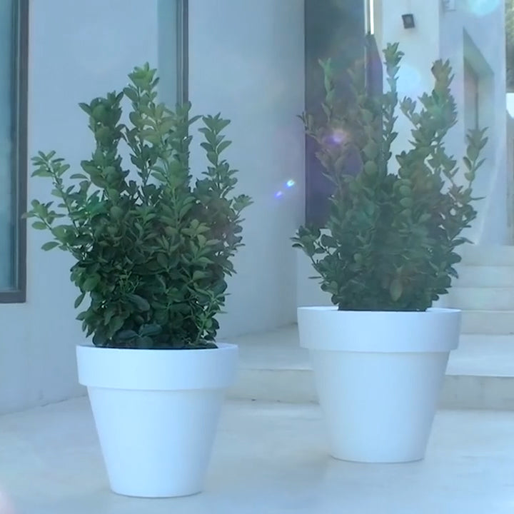 Maceta Planter