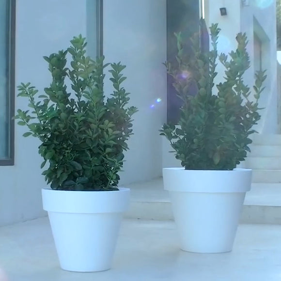Maceta Planter