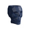 Skull Nano Planter  option Blue