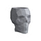Skull Nano Planter  option Gray