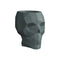 Skull Nano Planter  option Green
