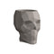 Skull Nano Planter  option Tortora