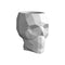 Skull Nano Planter  option White