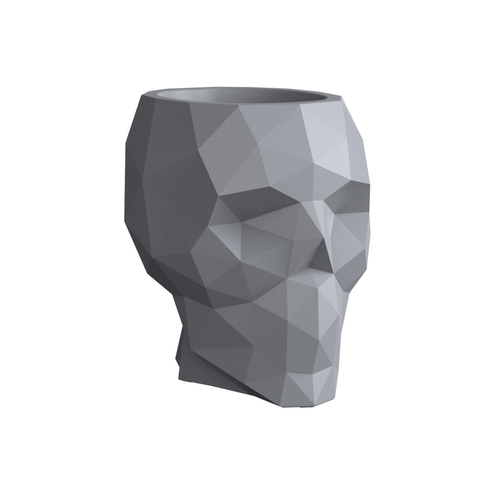 Skull Nano Planter